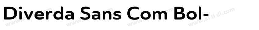 Diverda Sans Com Bol字体转换